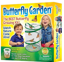 Load image into Gallery viewer, Insect Lore Butterfly Garden
