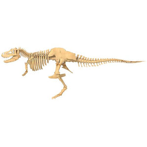 Thames & Kosmos Giant Dinosaur Skeleton Kit